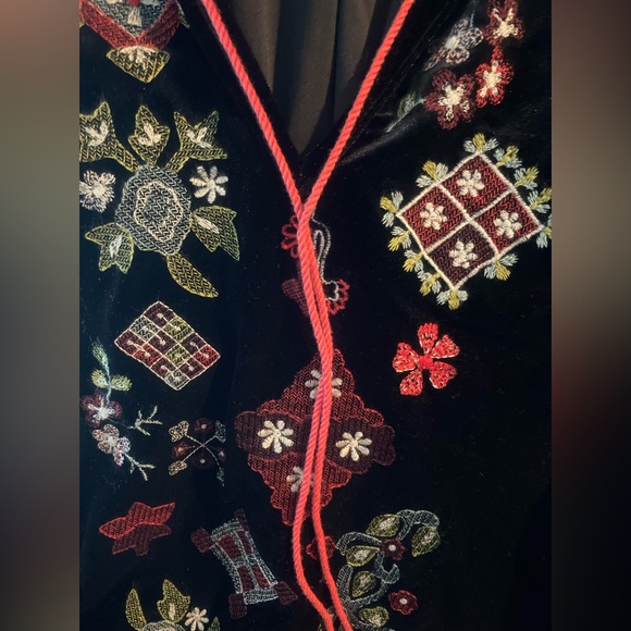 Zara Embroidered Velvet Top - Picture 2 of 8